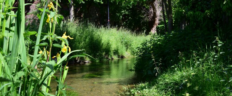 Wasserzufuhr der „Holser Flüth“ bei Salzkotten nach zeitweisem Trockenfallen wiederhergestellt 
